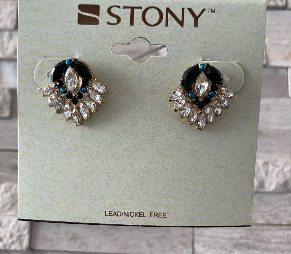 Earrings Stone Turquoise Navy Silver NWT